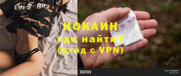 ГАЛЛЮЦИНОГЕННЫЕ ГРИБЫ Аркадак