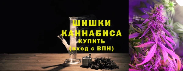 ГАЛЛЮЦИНОГЕННЫЕ ГРИБЫ Аркадак