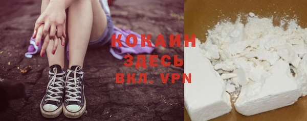 ГАЛЛЮЦИНОГЕННЫЕ ГРИБЫ Аркадак