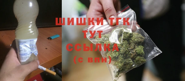 ГАЛЛЮЦИНОГЕННЫЕ ГРИБЫ Аркадак
