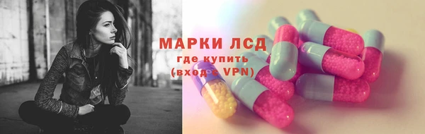 ГАЛЛЮЦИНОГЕННЫЕ ГРИБЫ Аркадак