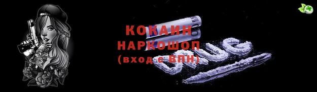 ГАЛЛЮЦИНОГЕННЫЕ ГРИБЫ Аркадак